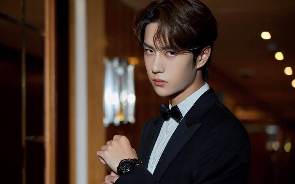 Wang Yibo - Profile(2021) - 40 Facts - CPOP HOME