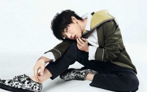 Hua Chenyu (华晨宇) Profile