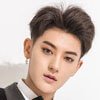 Huang Zitao