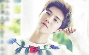 Lu Han (鹿晗) Profile