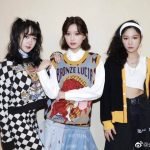 SIS Members Profile