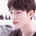 Xiao Zhan's Ideal Type Is Disclosed. Do You Meet?