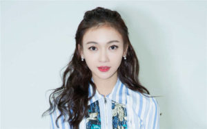 Wu Jinyan (吴谨言) Profile