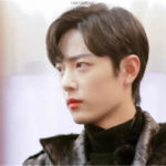 Will Xiao Zhan, Crystal Liu Yifei Collaborate On A New Drama?