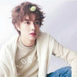 Who is Darren Chen's Girlfriend? His Ideal Type is Joe Chen