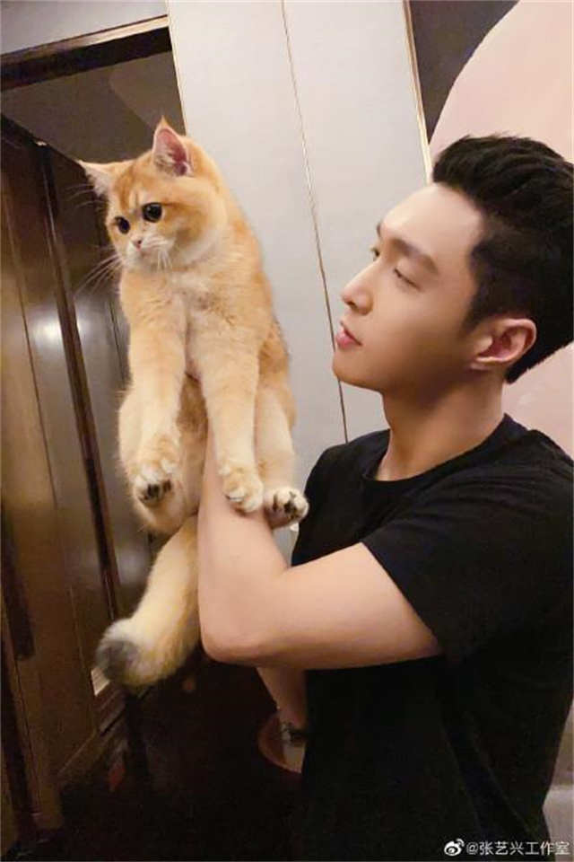 Zhang Yixing Cat