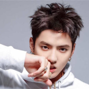 Police Notice On Kris Wu and Du Meizhu Incident