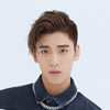 Wang Ziyi