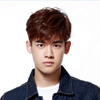 Liu Dongqin