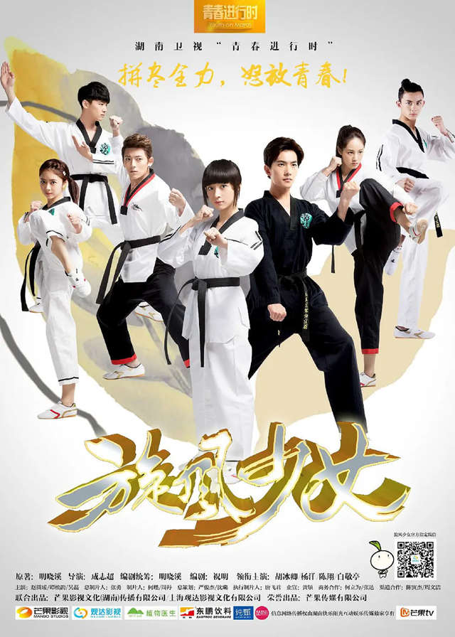 Chinese Dramas Like Whirlwind Girl 2