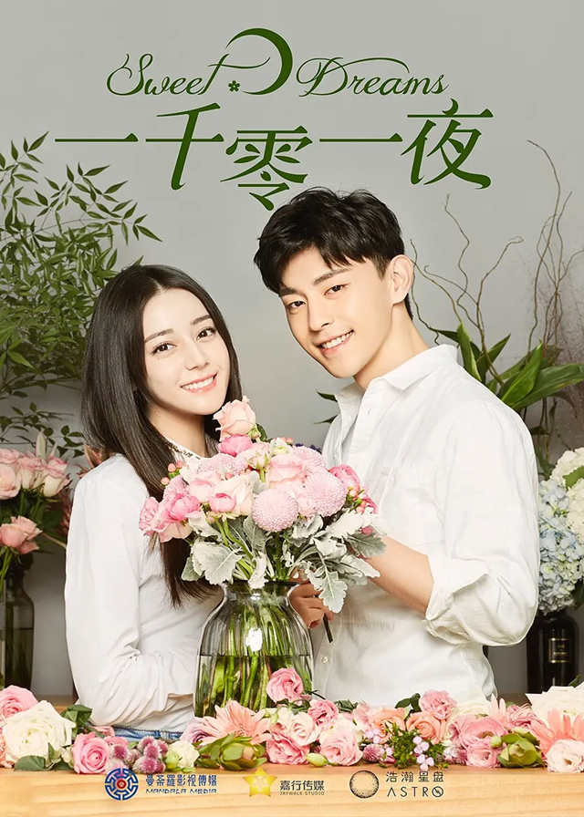 Chinese Dramas Like Art in Love