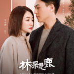 Nice To Meet You Again - Jin Dong, Li Xiaoran