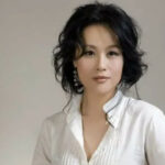 Vivian Wu (Wu Junmei) Profile