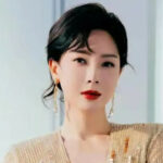 Chen Shu (陈数) Profile
