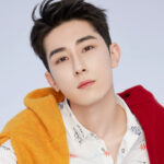 Lin Fengsong (林枫松) Profile