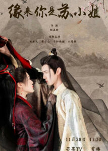 Return of Miss Su – Zhang Chuwen, Xi Er Li,