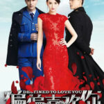 Destined to Love You - Joe Chen, Jia Nailiang, Bosco Wong