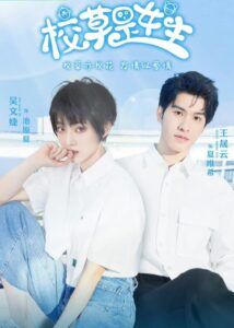 The School Hunk Is A Girl – Wu Wenjie, Wang Shengyun