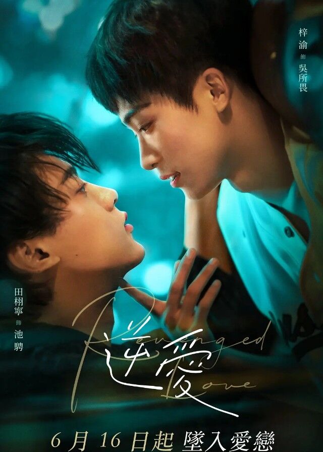 Revenged Love