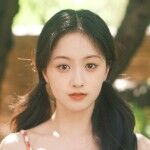 Wang Junbi