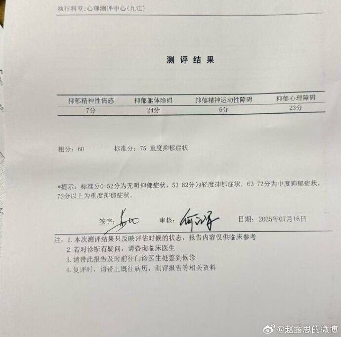 Zhao Lusi Depression Assessment Report