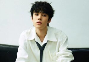 Yao Jingyuan (姚景元) Profile