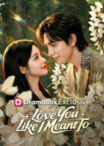 Love You Like I Meant To