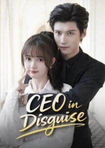 Chen Ruifeng Dramas