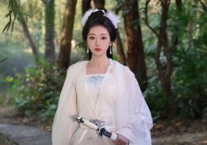 Dong xiaofei perfil
