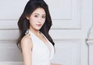 Liu xingchen perfil