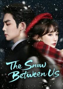 Wang Chenpeng Dramas