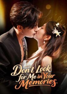 Don't Look for Me in Your Memories