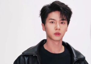 Wang ye perfil