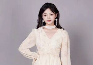Zhao anhui perfil