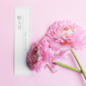 Profile photo of NNACHI